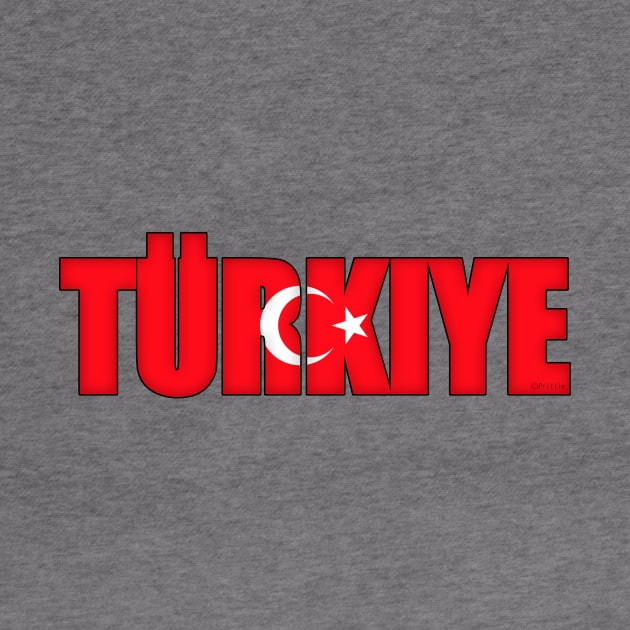 Turkey by SeattleDesignCompany